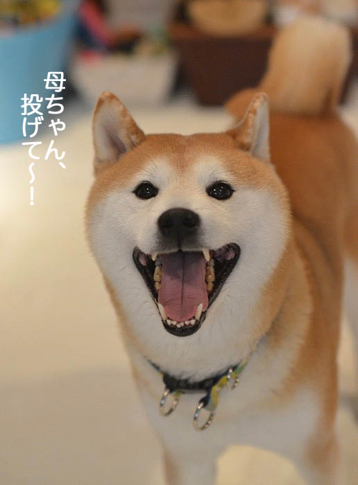 29日ブログ３