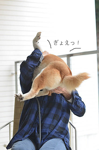 8日ブログ9