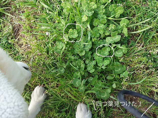 25日ブログ2