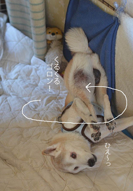 13日ブログ3