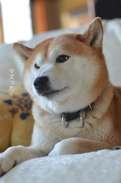 28日ブログ4