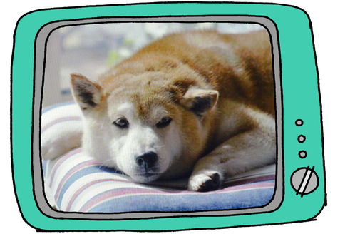 6日ブログ2
