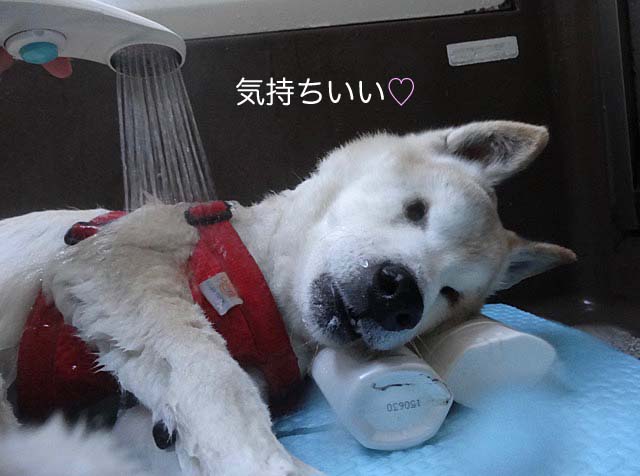 16日ブログ8