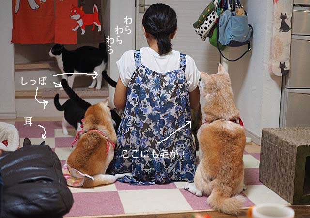 11日ブログ9