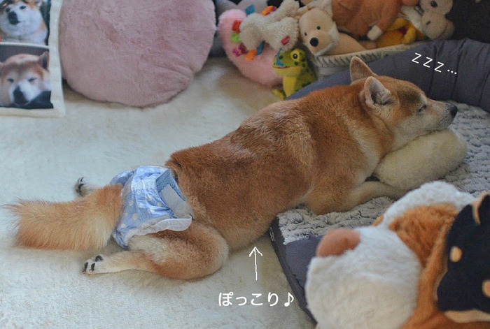 28日ブログ４