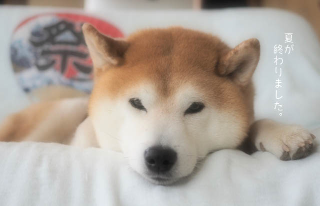 2日ブログ7