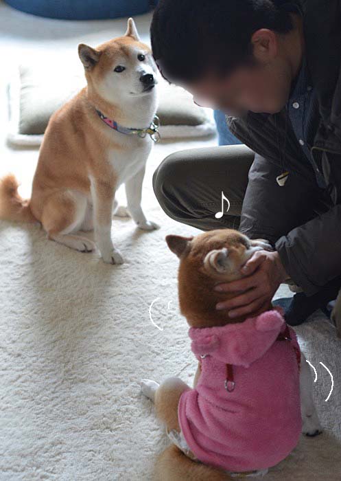 2日午後ブログ2