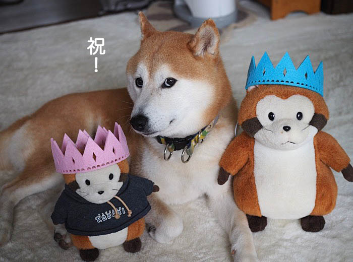 27日ブログ７
