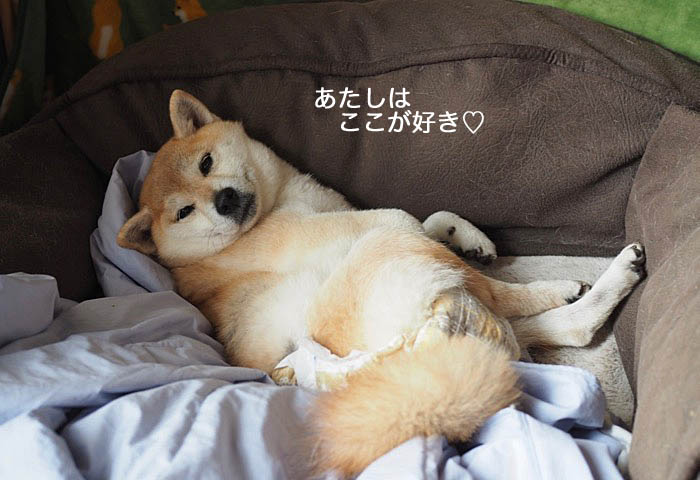 20日ブログ１１