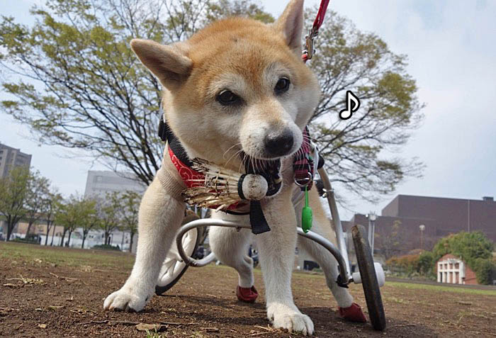22日ブログ９