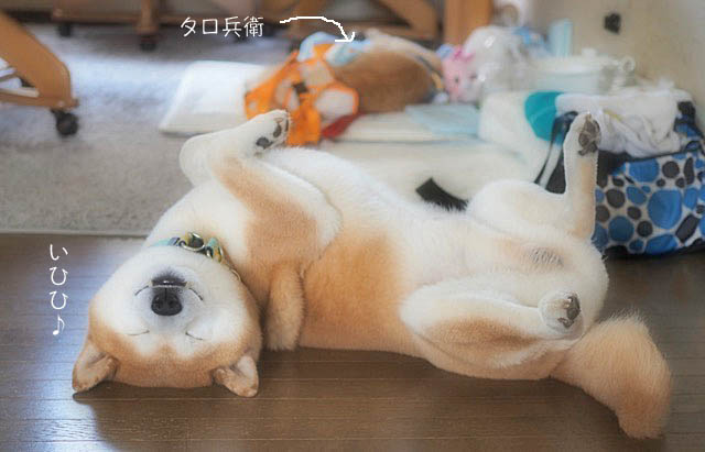 17日ブログ2