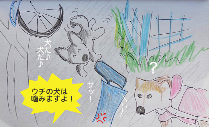 30日午後ブログ５