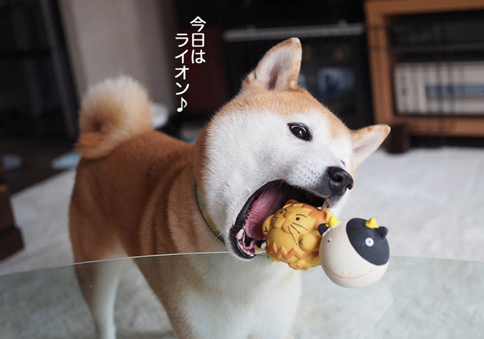 29日ブログ２