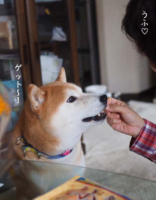 9日ブログ7