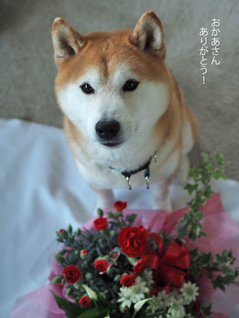 13日ブログ2
