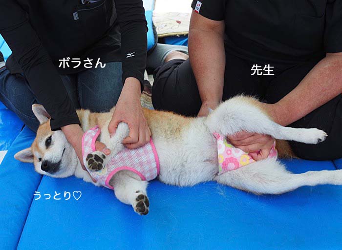 7日ブログ５
