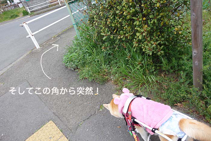 30日午後ブログ４