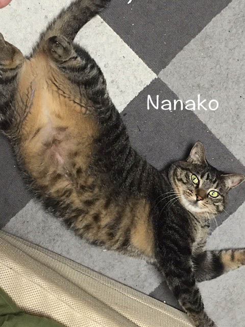 9日ブログ6