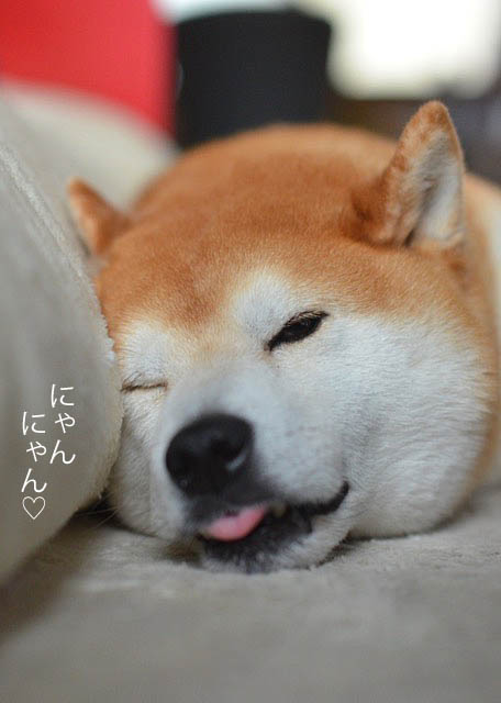 12日ブログ10