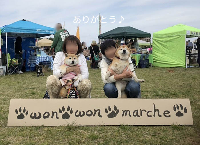 15日ブログ３３