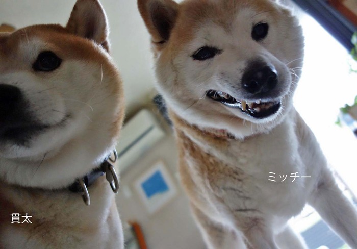 27日ブログ3