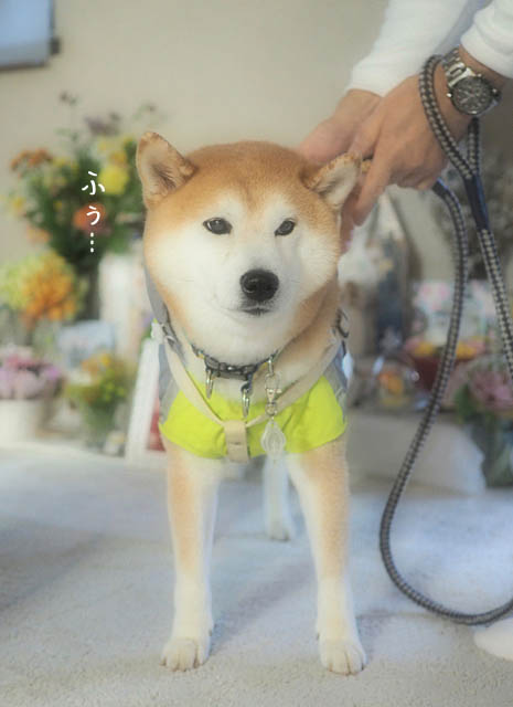 6日ブログ8