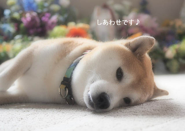 14日ブログ8