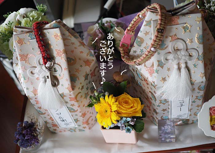 30日ブログ６