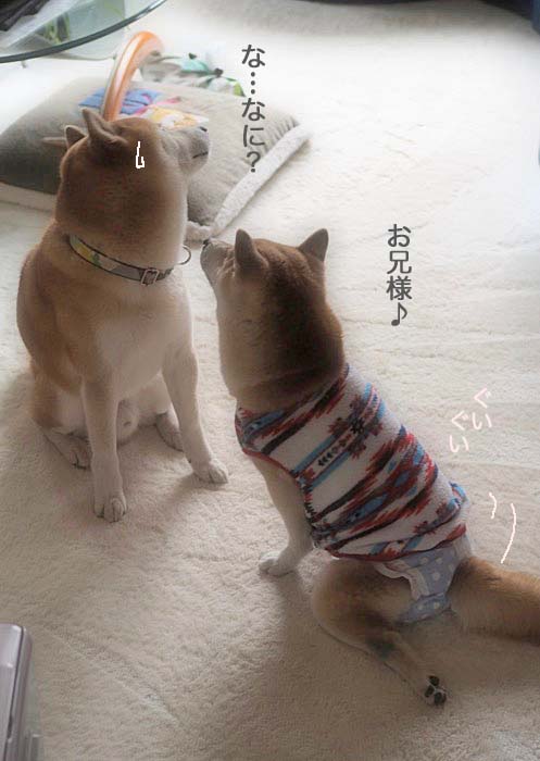5日午後ブログ３
