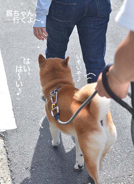 10日ブログ5