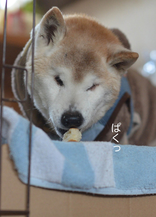 1日ブログ6