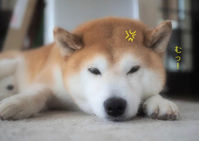 12日ブログ3