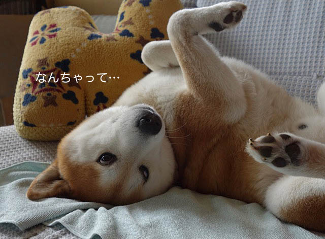 27日ブログ4