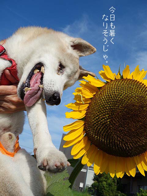 22日ブログ2