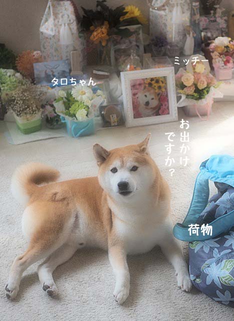 18日ブログ7