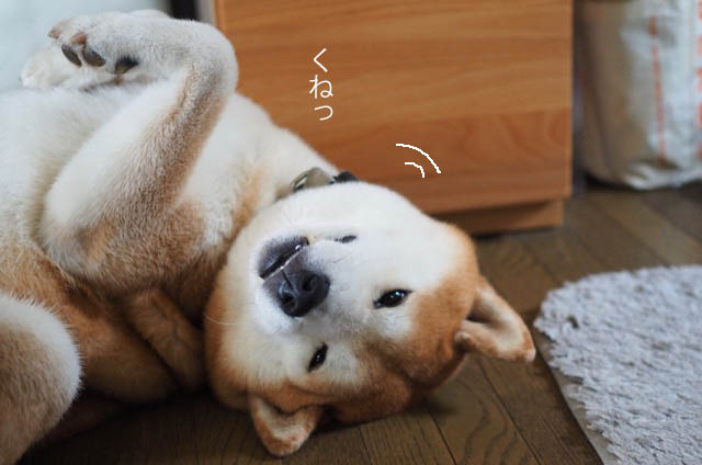 4日ブログ2