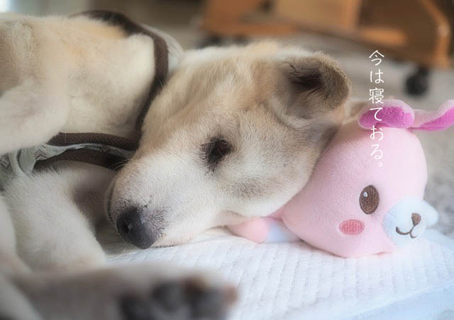17日ブログ3