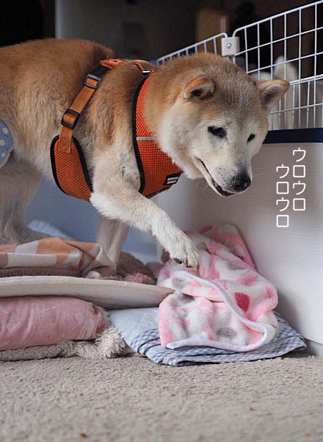 20日ブログ2