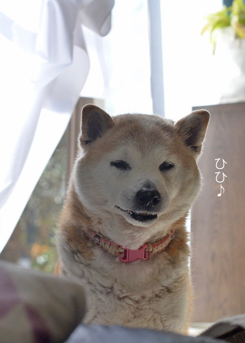 8日ブログ11