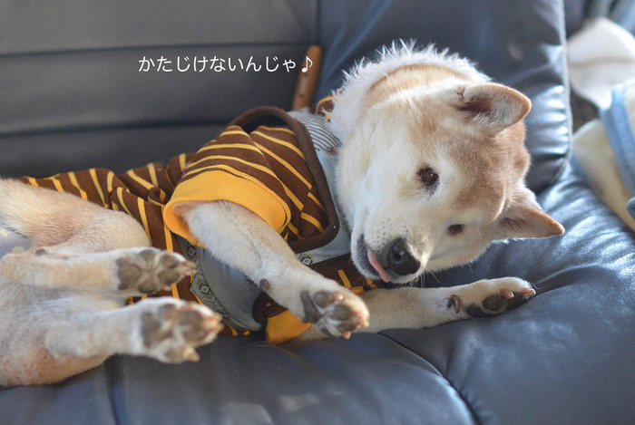 5日ブログ11