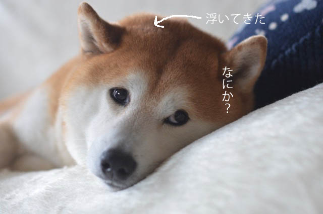 10日ブログ5