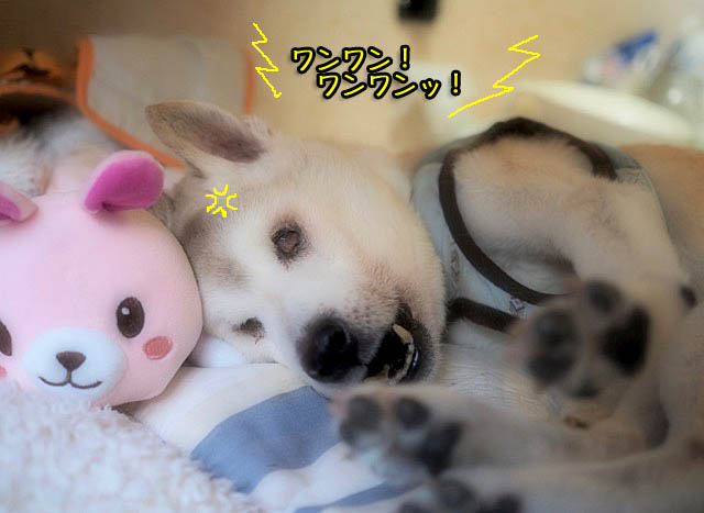 9日ブログ3
