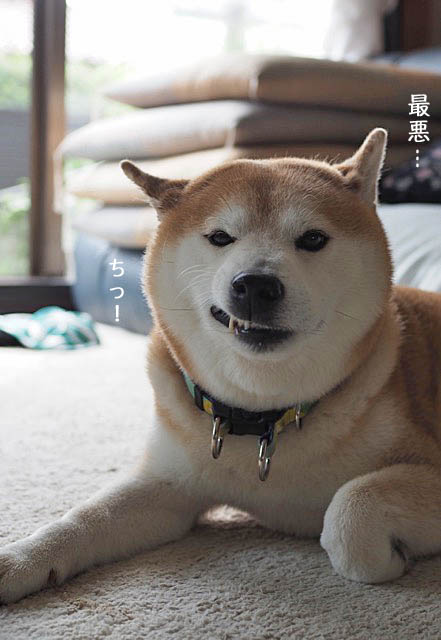9日ブログ8