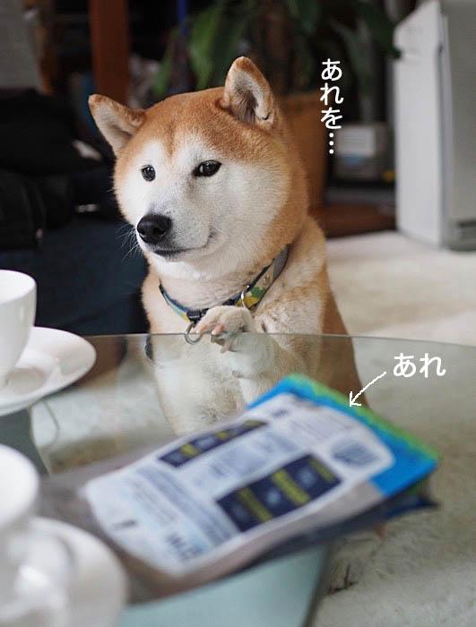 5日夜ブログ6