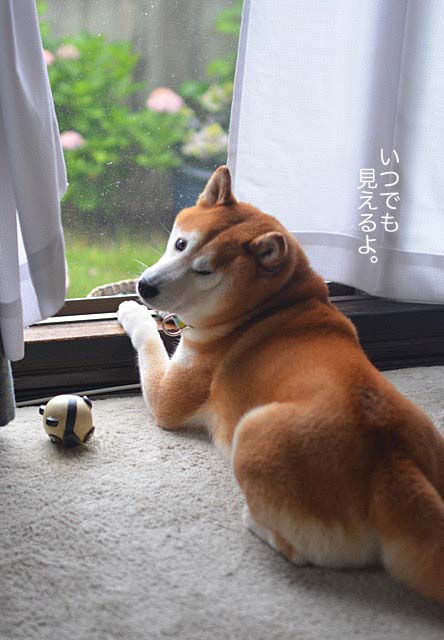 29日ブログ11