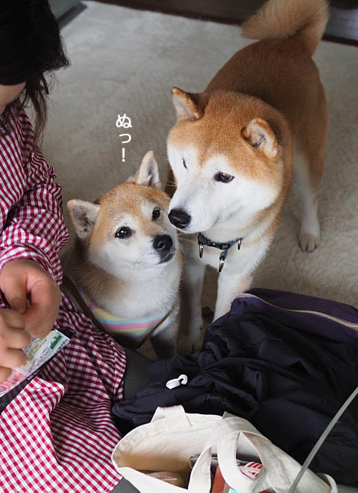 17日夜ブログ５