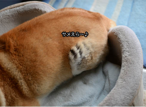 2日ブログ8.jpg