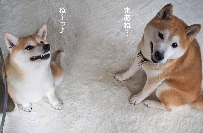28日夜ブログ４