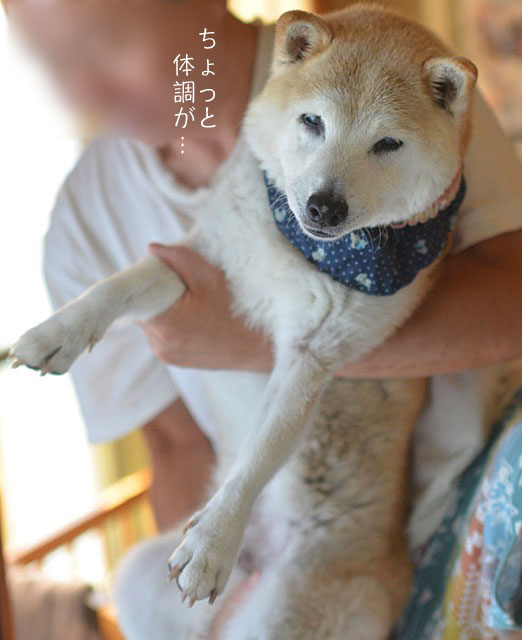 1日ブログ13