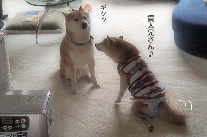 5日午後ブログ２
